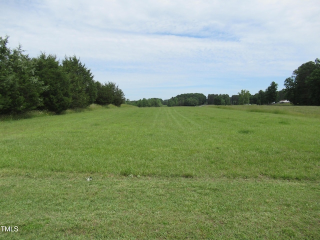 819 Patterson Grove Rd, Ramseur, NC 27316 - view of green lawn featuring a rural view