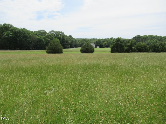 819 Patterson Grove Rd, Ramseur, NC 27316 - view of local wilderness featuring rural landscape