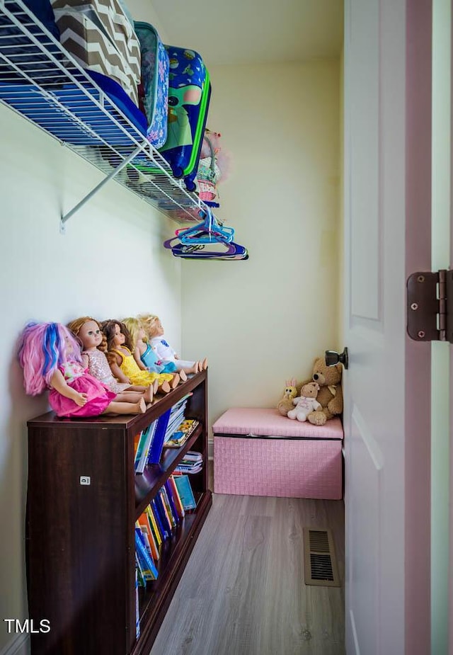spacious closet with wood finished floors