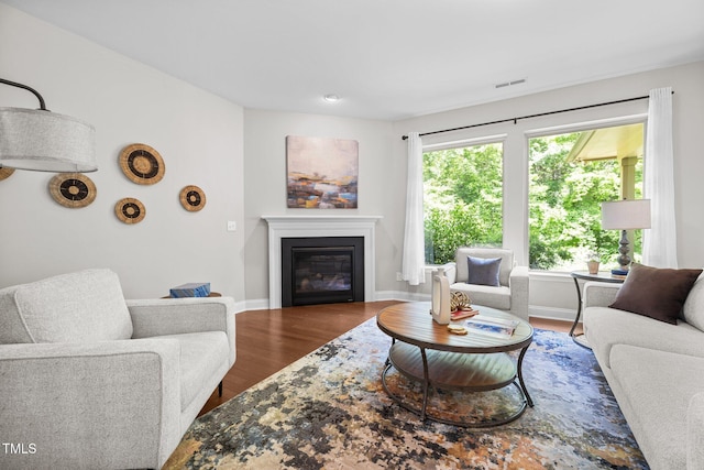 111 Chapel Run Way, Chapel Hill, NC 27517 - living room with wood finished floors, a glass covered fireplace, and baseboards