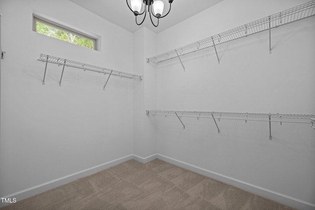 111 Chapel Run Way, Chapel Hill, NC 27517 - walk in closet featuring carpet floors and a chandelier