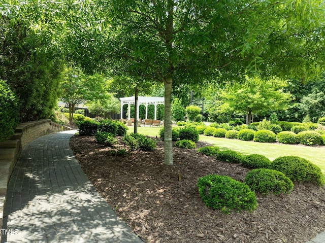111 Chapel Run Way, Chapel Hill, NC 27517 - view of home's community featuring a pergola