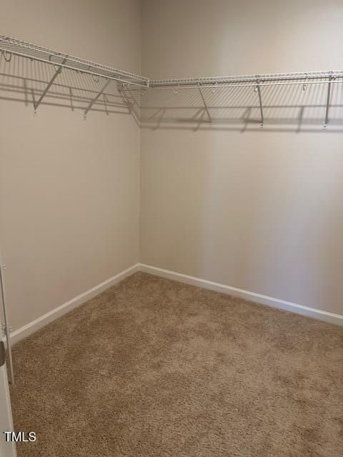 spacious closet with carpet floors