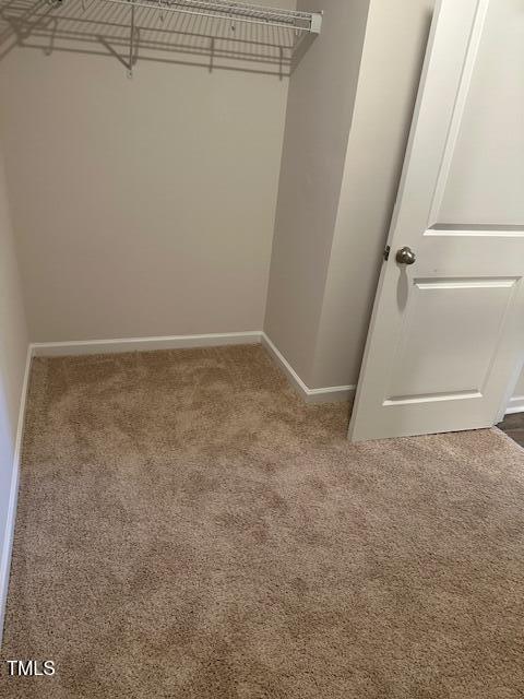 walk in closet featuring carpet flooring