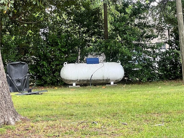 view of grassy yard
