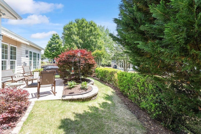 view of green lawn featuring a patio