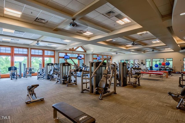 workout area with carpet floors, coffered ceiling, beam ceiling, a towering ceiling, and ceiling fan