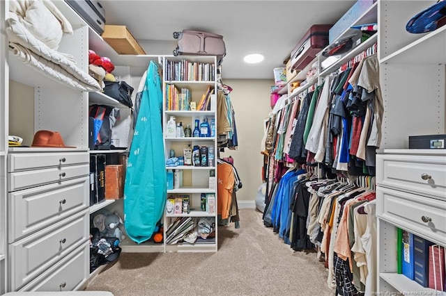 spacious closet featuring carpet