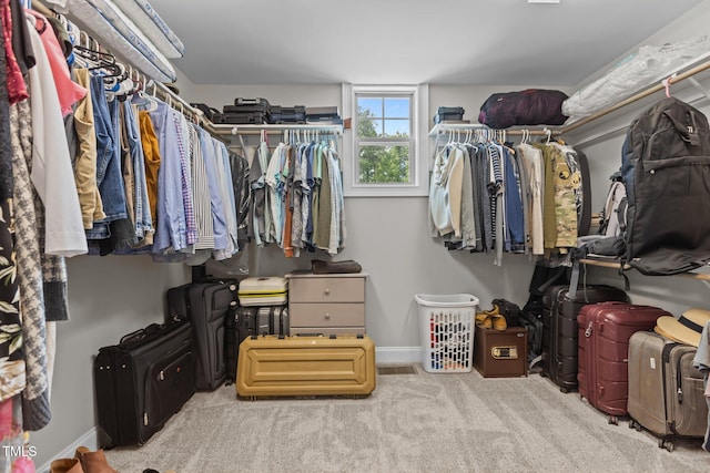 spacious closet featuring carpet flooring