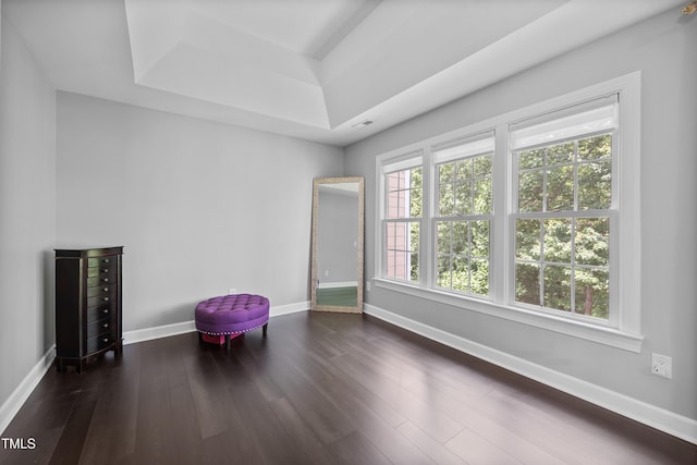 spare room with baseboards, a raised ceiling, and dark wood-style flooring