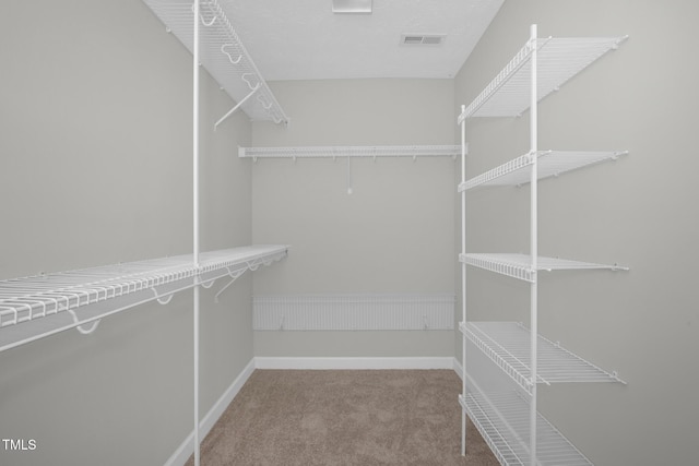 walk in closet with carpet floors