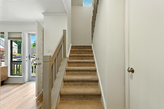 109 Virginia Pl, Cary, NC 27513 - photo 16