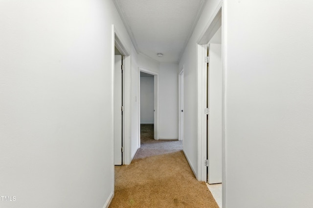 109 Virginia Pl, Cary, NC 27513 - photo 22