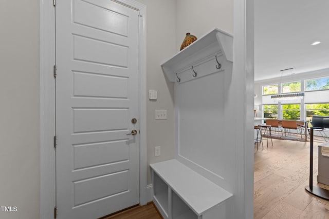 mudroom featuring wood finished floors