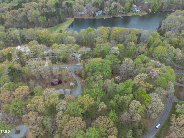 3418 Carriage Trl, Hillsborough, NC 27278 - view of property location with a large body of water and a heavily wooded area