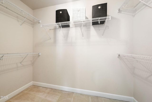 walk in closet featuring carpet