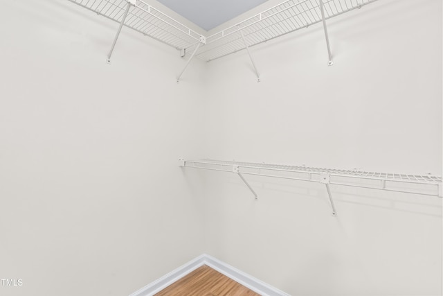 walk in closet with wood finished floors