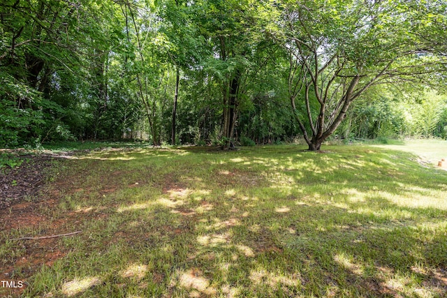 1917 Tucker St, Burlington, NC 27215 - view of grassy yard with a wooded view