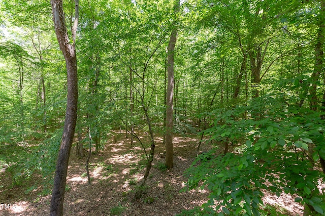 5314 Taproot Ln, Durham, NC 27705 - view of tree filled area