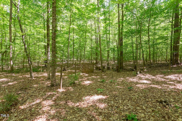 5314 Taproot Ln, Durham, NC 27705 - view of woods