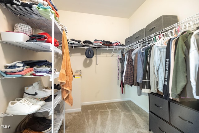1201 Pleasant Falls Ct, Wake Forest, NC 27587 - spacious closet with carpet flooring