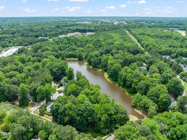 304 W Kirkfield Dr, Cary, NC 27518 - photo 45