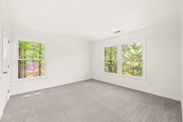 304 W Kirkfield Dr, Cary, NC 27518 - photo 30