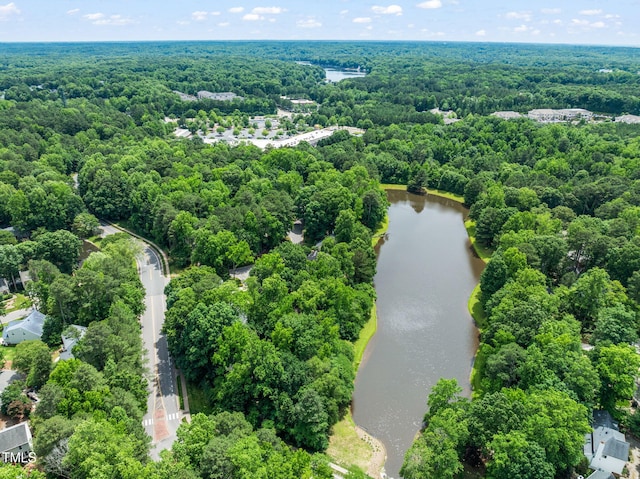 304 W Kirkfield Dr, Cary, NC 27518 - photo 46