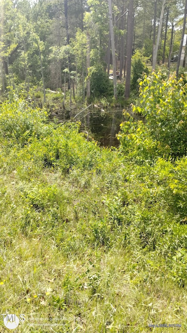 0 Mayer Rd, Cameron, NC 28326