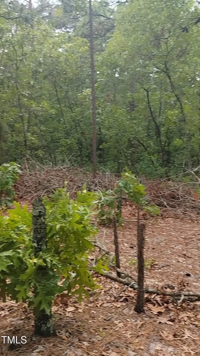 0 Mayer Rd, Cameron, NC 28326