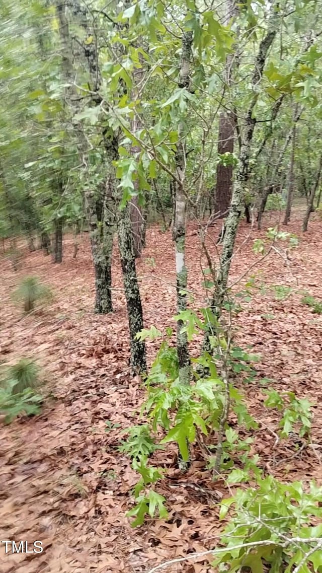 0 Mayer Rd, Cameron, NC 28326