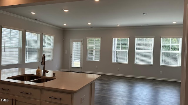 3112 Star Gazing Ln, Durham, NC 27703 - kitchen with a sink, healthy amount of natural light, light countertops, white cabinetry, and ornamental molding