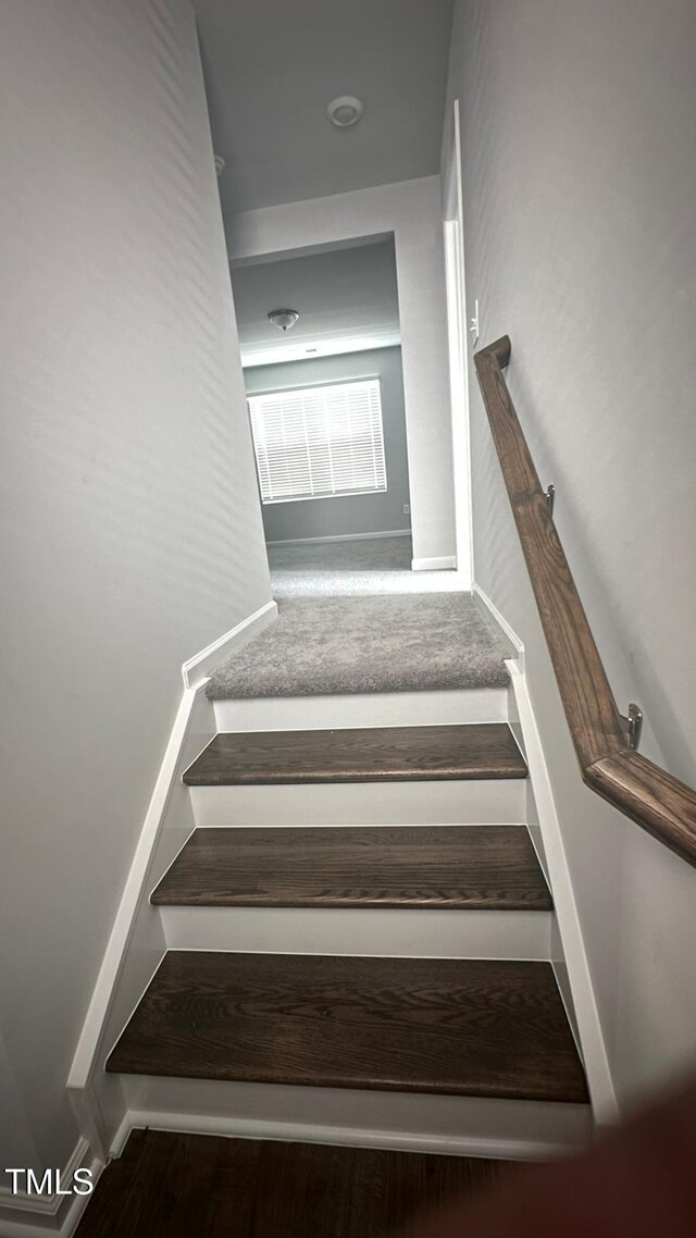 3112 Star Gazing Ln, Durham, NC 27703 - stairway featuring baseboards and carpet flooring