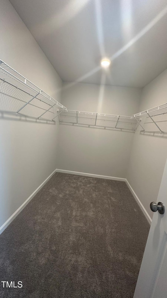3112 Star Gazing Ln, Durham, NC 27703 - walk in closet with carpet floors
