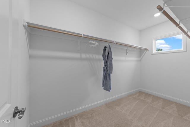 walk in closet featuring light carpet