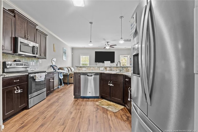kitchen featuring appliances with stainless steel finishes, a sink, dark brown cabinetry, light wood-type flooring, and ceiling fan