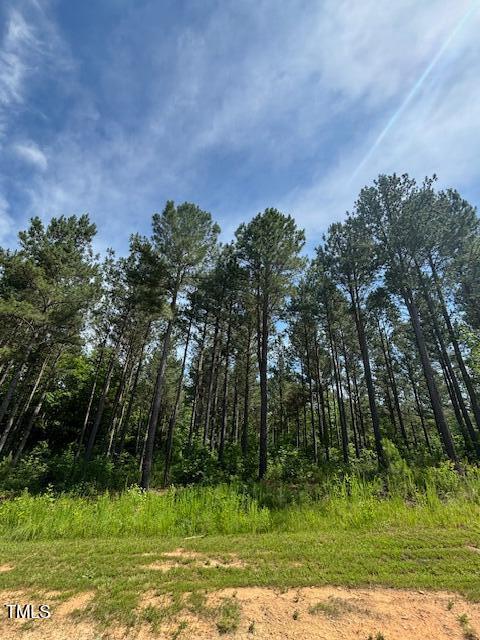 5 Pinnacle Shores Dr, Macon, NC 27551