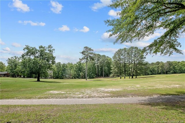 95 Fairway Ln, Sanford, NC 27332 - photo 46