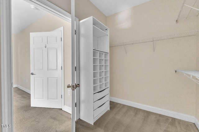 walk in closet with carpet floors