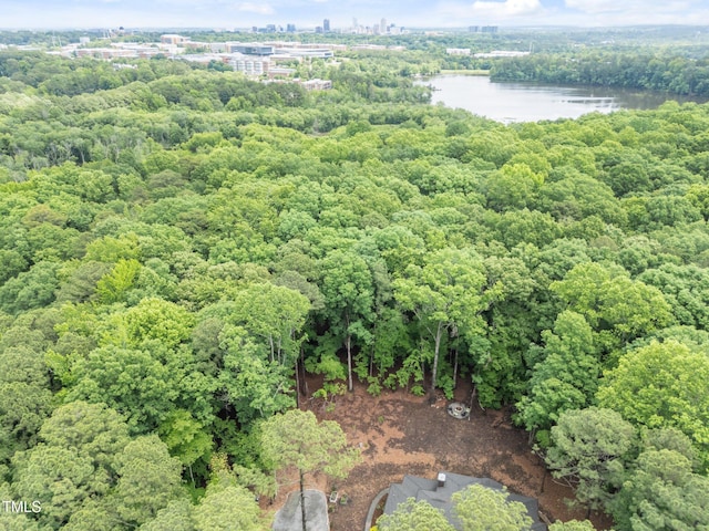 1115 Trailwood Dr, Raleigh, NC 27606 - bird's eye view of a large body of water and a forest