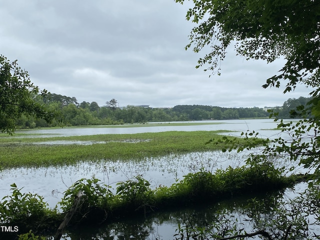 1115 Trailwood Dr, Raleigh, NC 27606 - water view with a forest