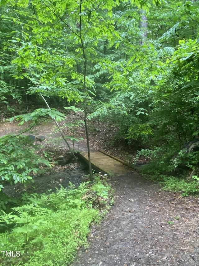 1115 Trailwood Dr, Raleigh, NC 27606 - view of local wilderness