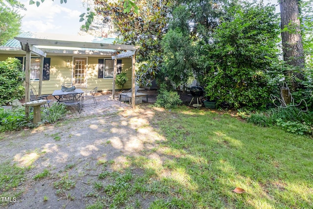 view of yard featuring a patio area