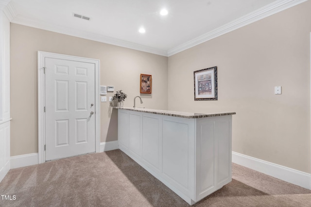 interior space with carpet flooring, crown molding, recessed lighting, baseboards, and a sink