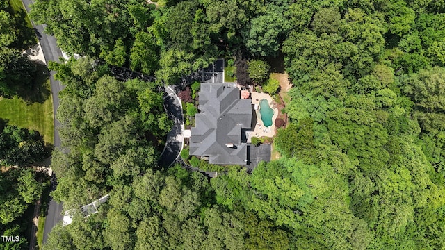 bird's eye view of a pool