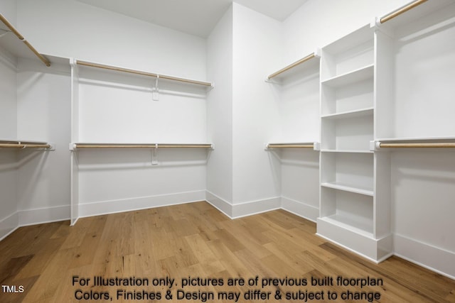 spacious closet featuring wood finished floors