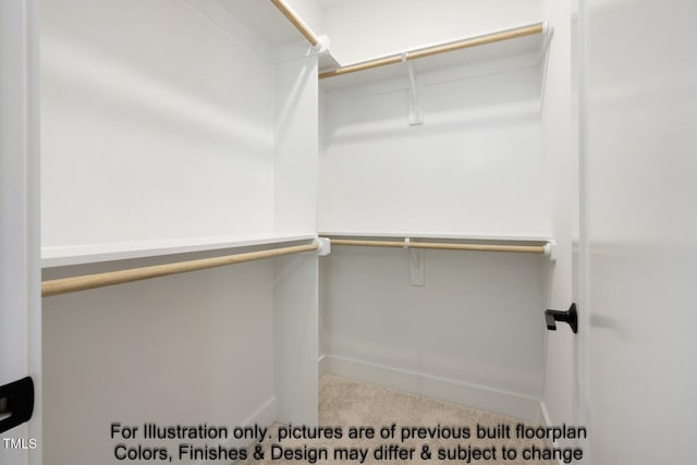 walk in closet featuring carpet floors