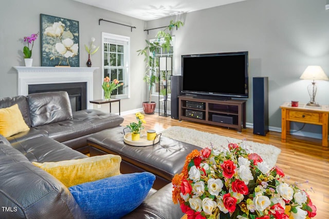 5629 Yates Garden Ln, Raleigh, NC 27606 - living room featuring wood finished floors, baseboards, and a fireplace