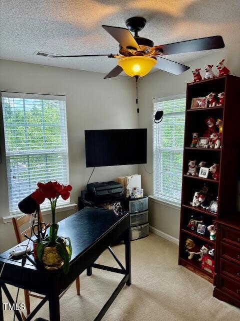 3405 Van Hessen Dr, Raleigh, NC 27614 - photo 53