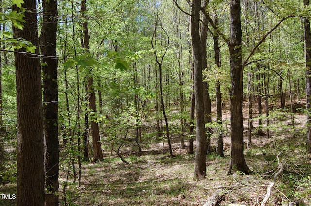 0 Egypt Mountain Rd, Kittrell, NC 27544